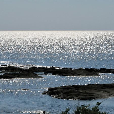 Vitamin Sea La Turballe Dış mekan fotoğraf