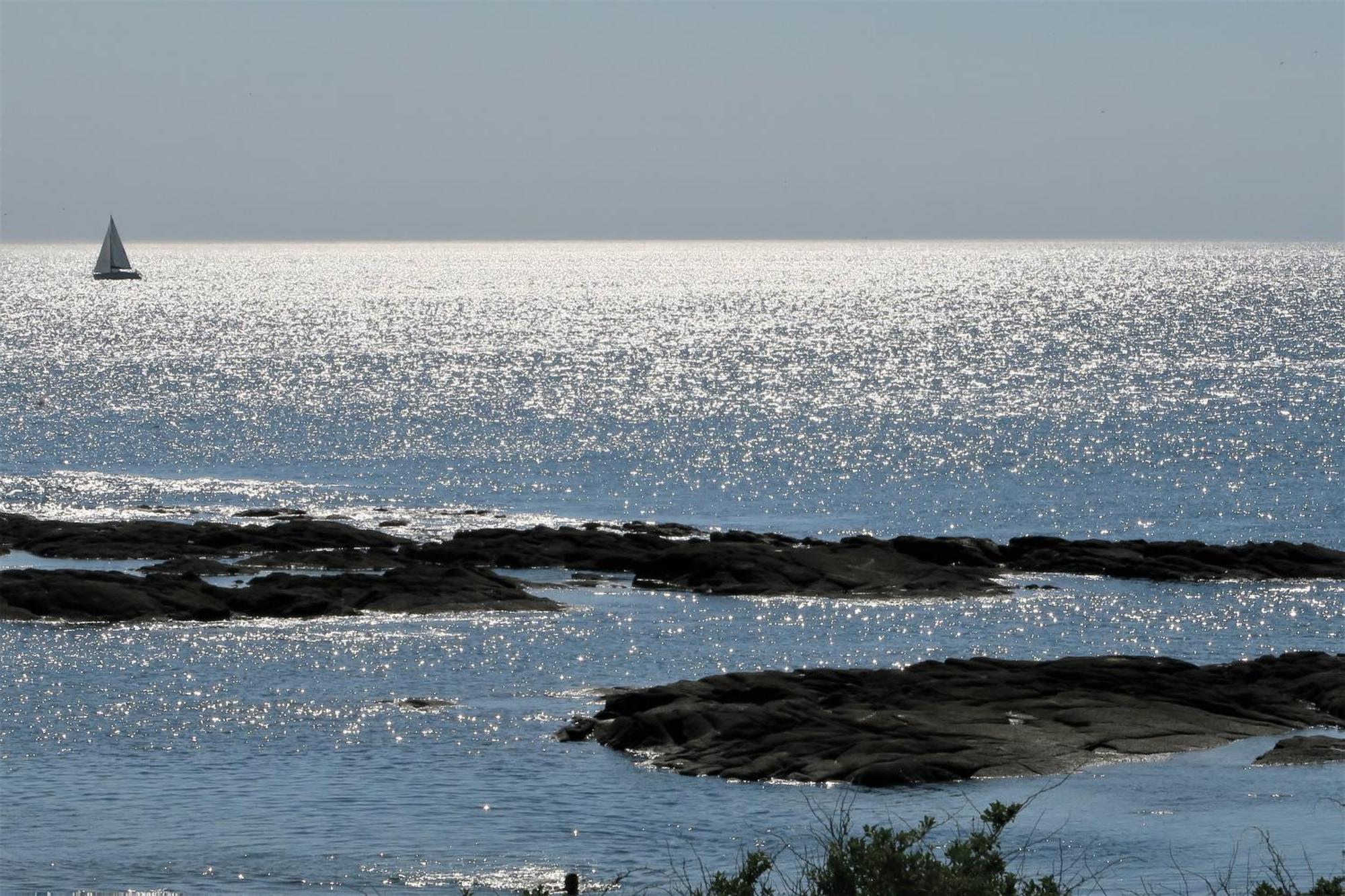 Vitamin Sea La Turballe Dış mekan fotoğraf